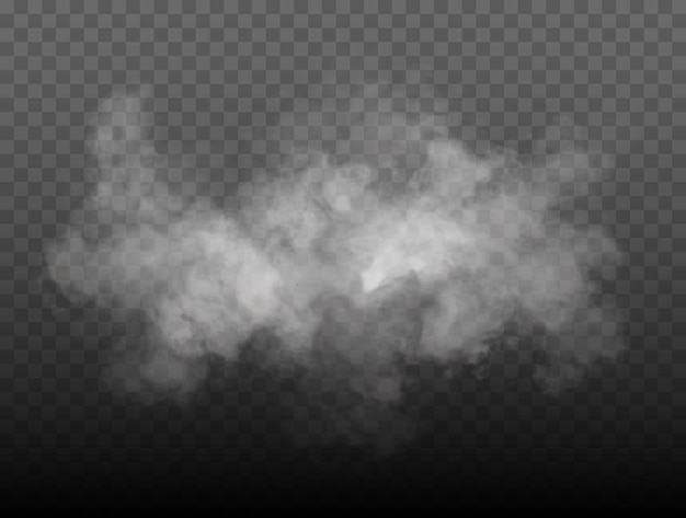 Fog or smoke isolated transparent special effect white vector cloudiness mist or smog background vec...