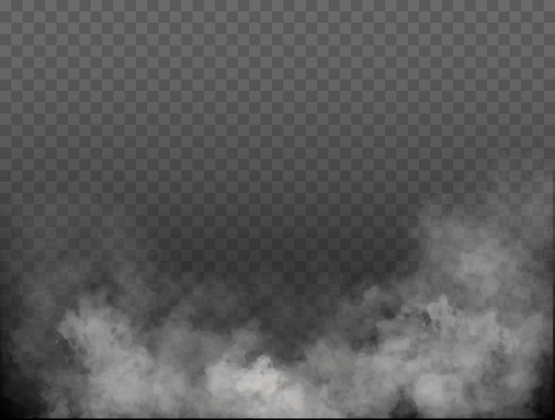 Fog or smoke isolated transparent special effect white vector cloudiness mist or smog background vec...