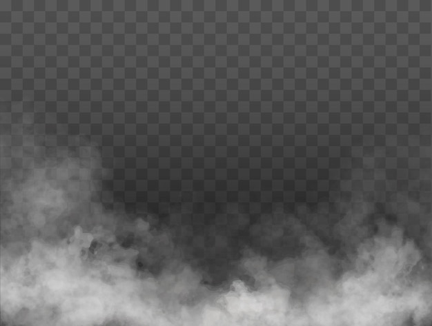 Vector fog or smoke isolated transparent special effect white vector cloudiness mist or smog background