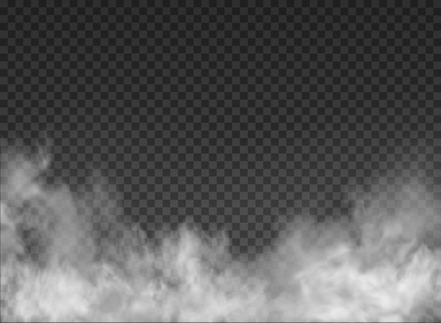 Vector fog and smoke isolated on transparent