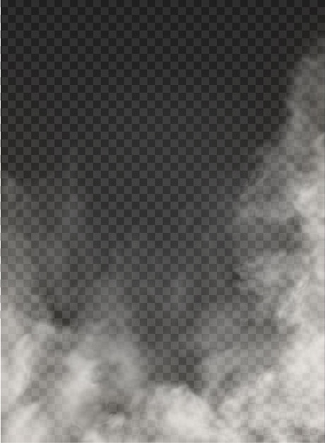 Fog and smoke isolated on transparent 