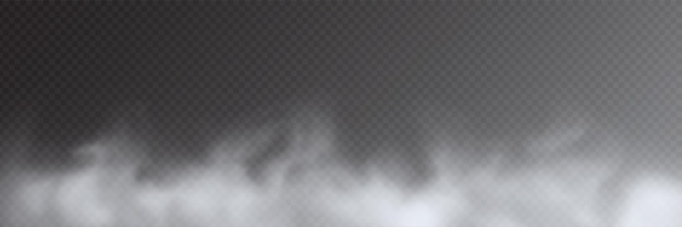 Vector fog smoke on transparent background panoramic view
