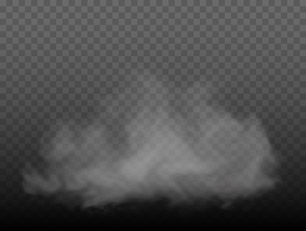 Vector fog or smoke transparent special effect white vector cloudiness mist or smog background