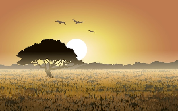 Vector foggy grassland landscape on sunset