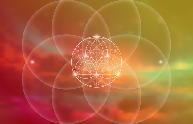 FoL0006
