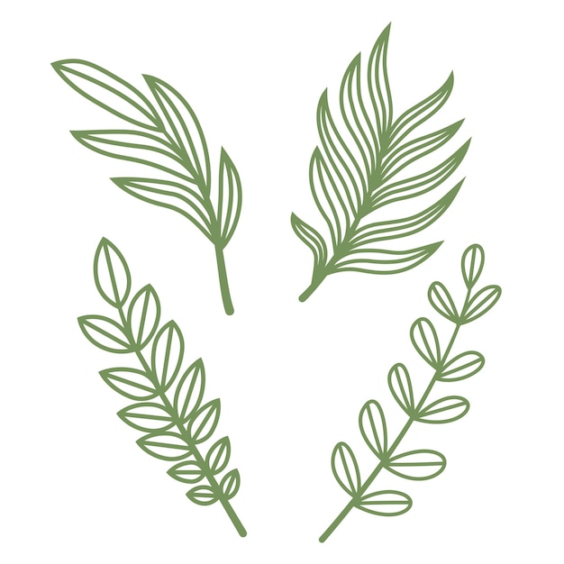 Foliage line art