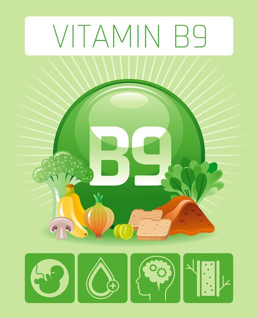 Foliumzuur vitamine b9 rijke voedselpictogrammen met menselijk voordeel. gezond eten platte pictogramserie. dieet infographic grafiek poster met lever, banaan, ui, brood.