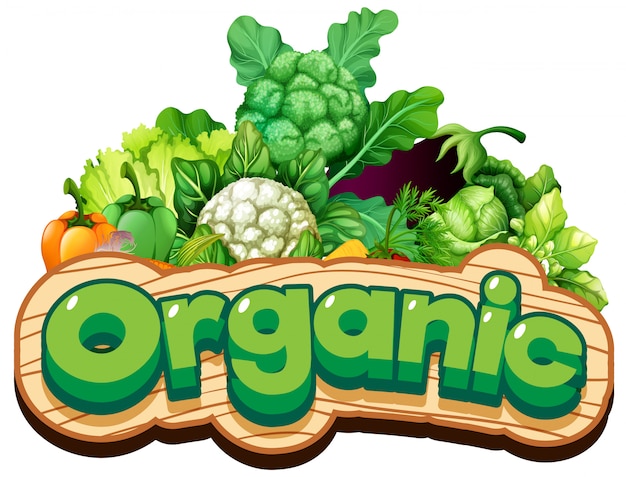 Vettore design dei caratteri per la parola organico con molte verdure