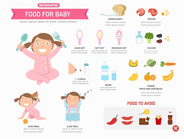 Food for baby infographic, informative poster ready to print