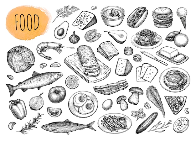 Vector food big set hand drawn ink sketches