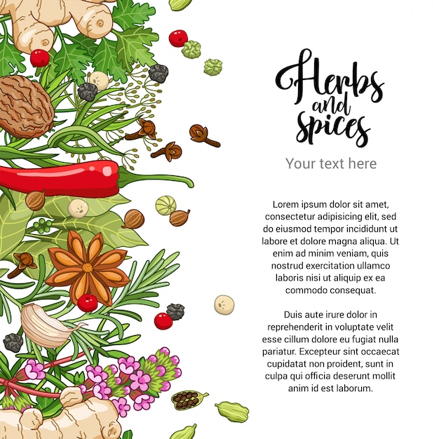 Вектор Дизайн карточки еды со специями и травами