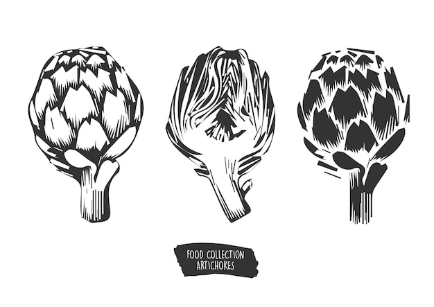 FOOD COLLECTION ARTICHOKES BLACK AND WHITE