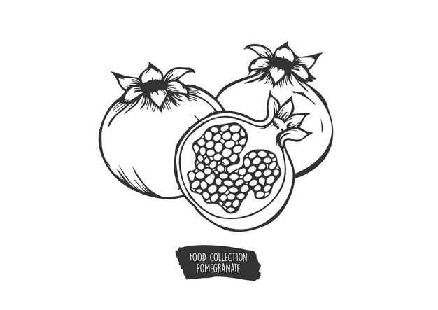 Premium Vector | Food collection pomegranate black and white food ...