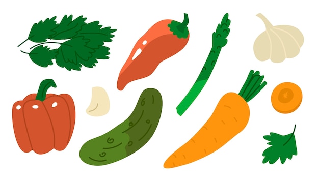 Food collection vegetables pepper carrot cucumber garlic celery
parsley product store market menu kitchen design flat style in
vector illustration isolated