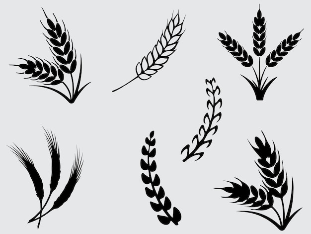Еда кукуруза и рис черный на белом фоне силуэт вектор искусства иллюстрации дизайн