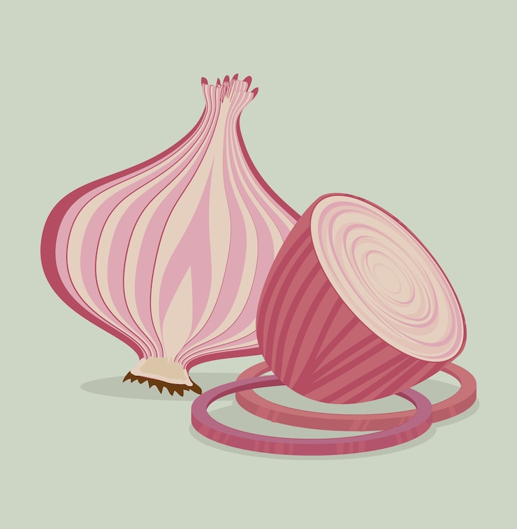 Vector food design.