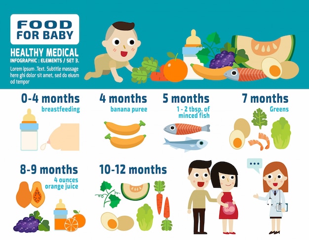 아기 개념 Infographic 벡터 일러스트 레이 션에 대 한 음식