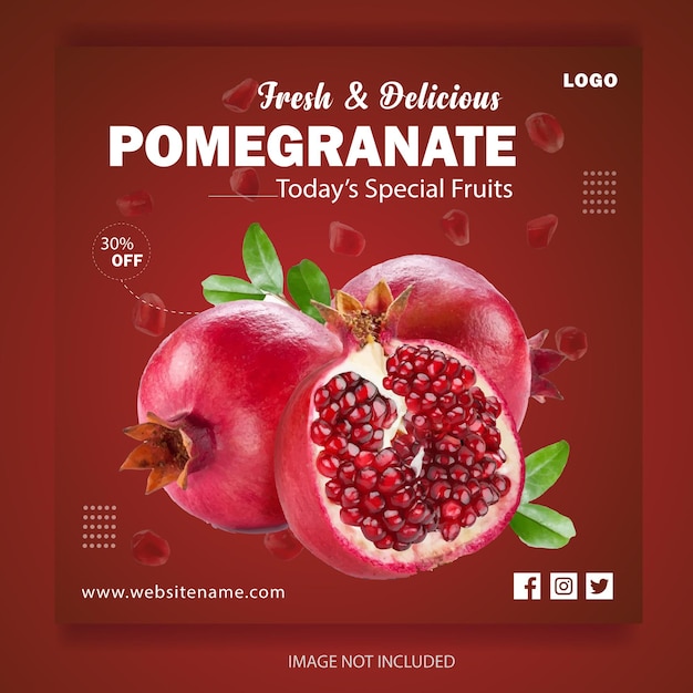 Vector food and fruits social media post design