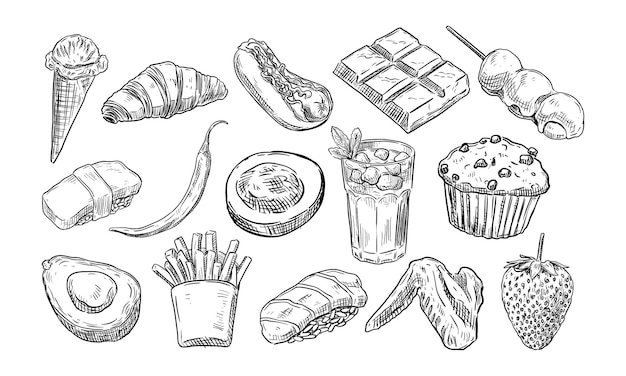 Vector food handdrawn collection