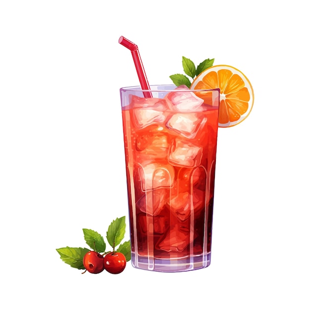 Vector food ice fruit drink illustration