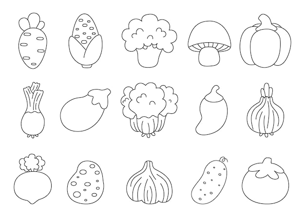 Vector food icons set vegetables symbols line art healthy on white background