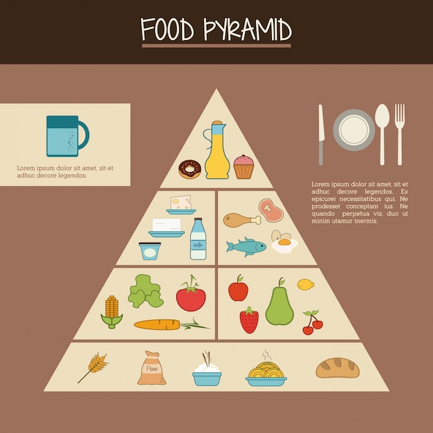 Vector food infographic