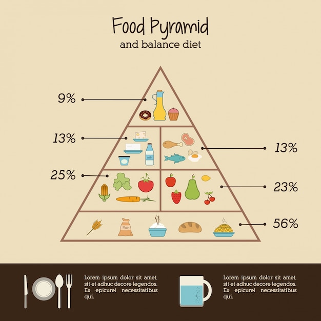 Vector food infographic