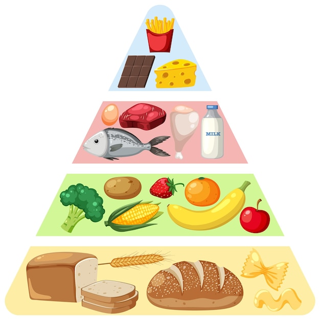 Vettore piramide dei gruppi di nutrizione alimentare