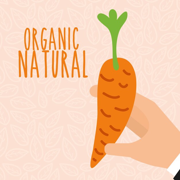 food organic nature
