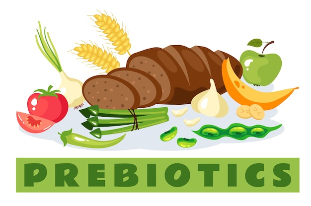 Food probiotic prebiotic difference health diet concept flat graphic design illustration