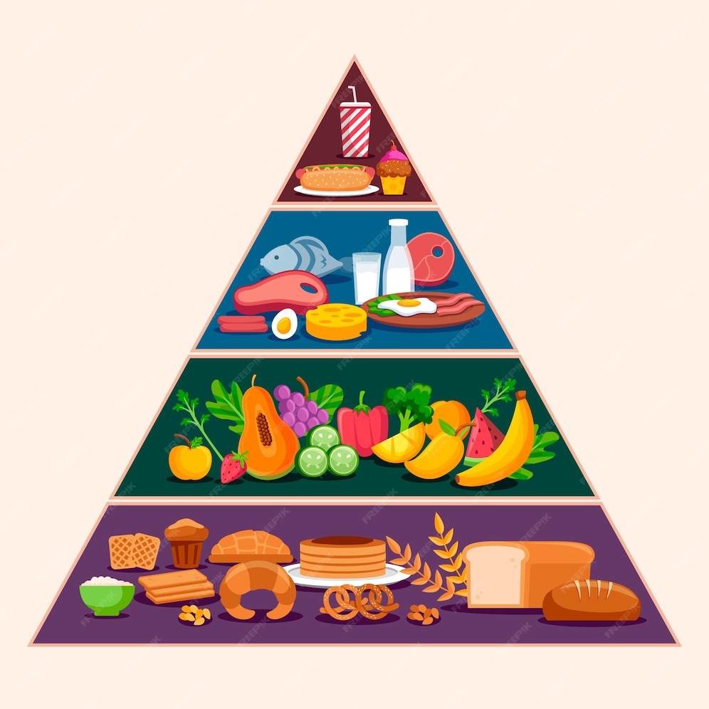 Premium Vector | Food pyramid concept