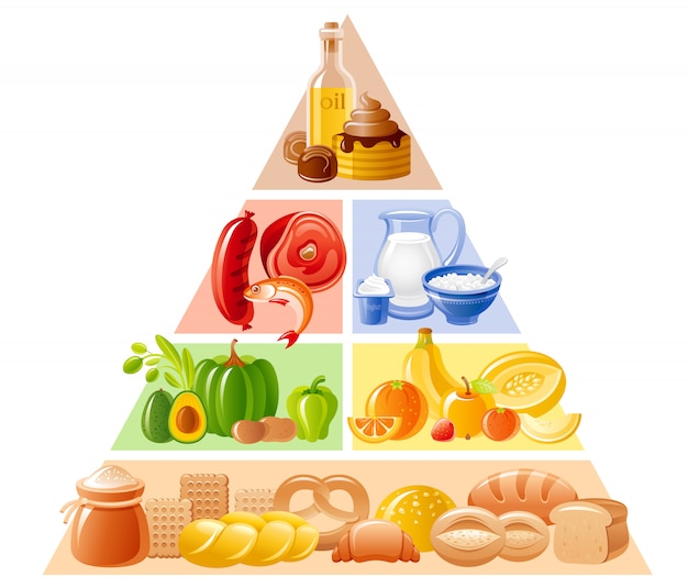 Vettore piramide alimentare, illustrazione dieta sana. infografica nutrizionale con pane, cereali, frutta, verdura, carne, pesce, latticini, prodotti dolci e grassi.