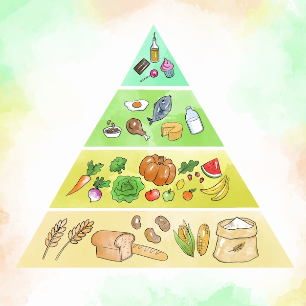 Vector food pyramid for nutrition