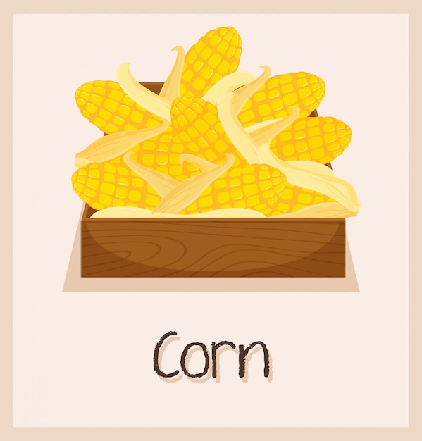 Food and word corn concept