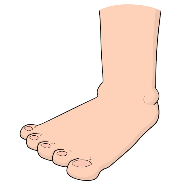 Vector foot