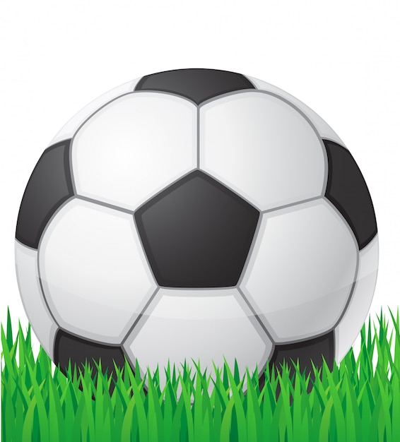 잔디 배경에서 축구 축구 공입니다.
