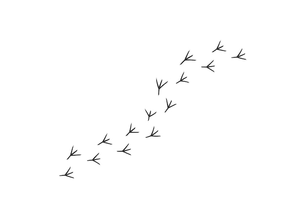 ニワトリ アイコンのフットパス トレイル 足跡 鳥 イラスト シンボル 足跡 オンドリ ベクトル