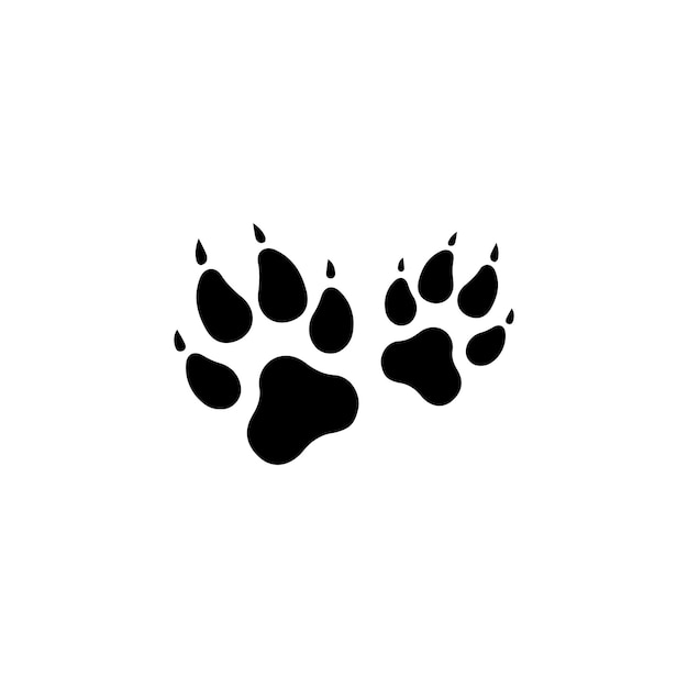 Footprints of a big cat Paw tiger Vector