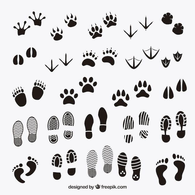 Footprints shadows of animals and human