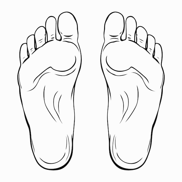 Vector footstep