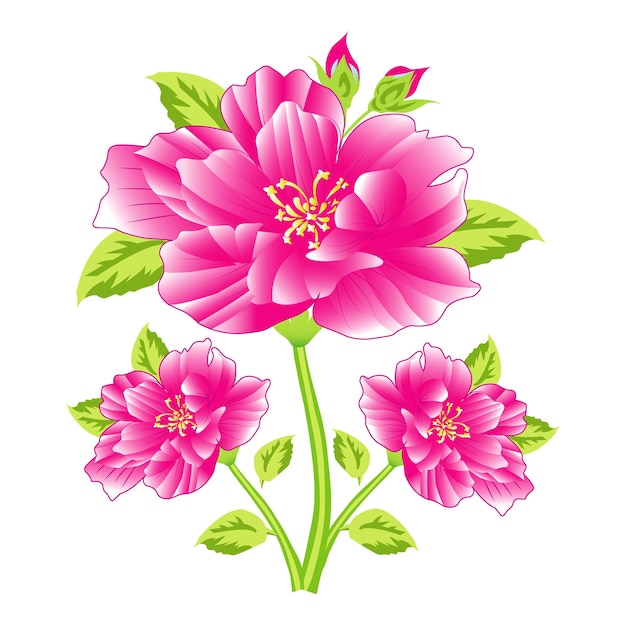 Vector foral flower