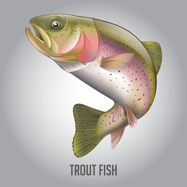 Forel vissen vectorillustratie