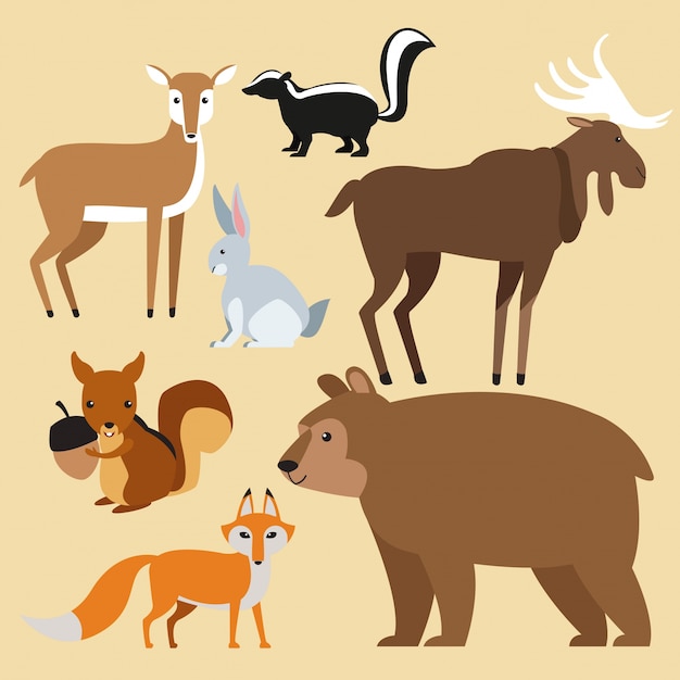 Vector forest animals cartoon