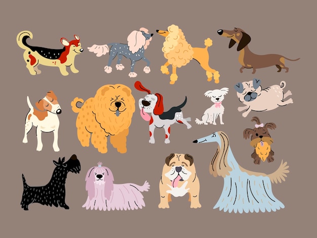 Vector forest animals and their footprints