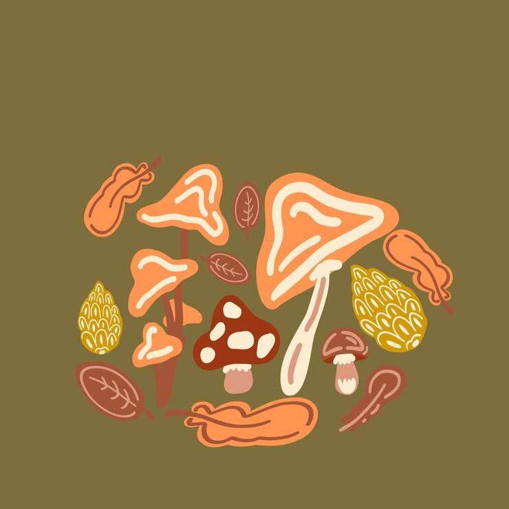 Vector forest autumn set flat design mudhroom leaves