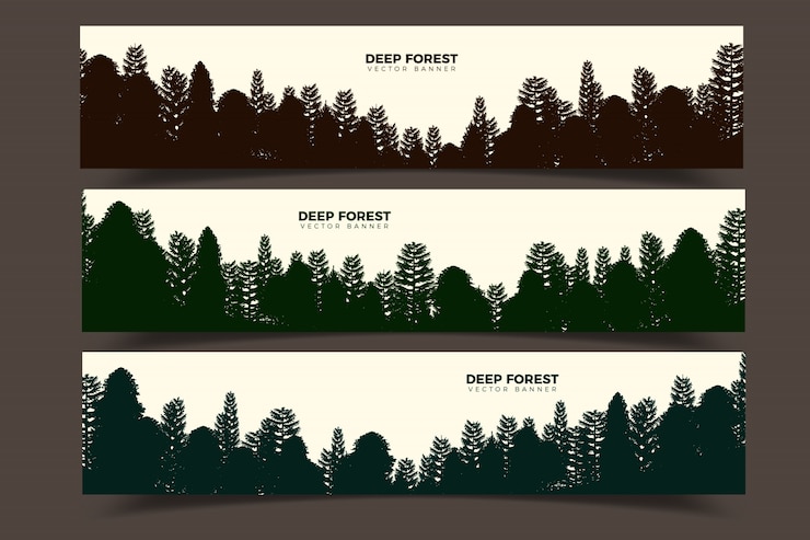 Vector forest background