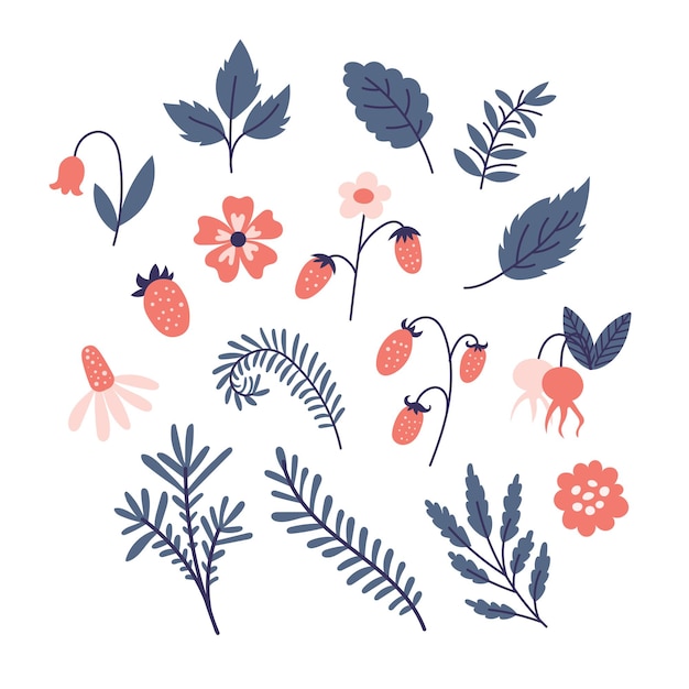 Forest berry and flowers vector set