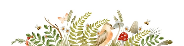 Forest bird, ferns, mushrooms and butterfly watercolor banner