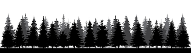 Vector forest black silhouette design isolated vector