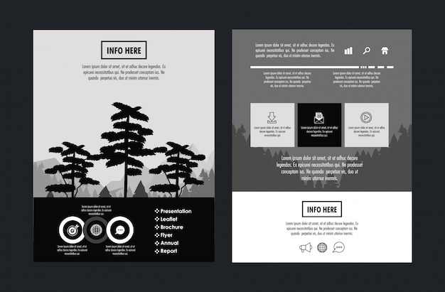 Vector forest brochure infographic